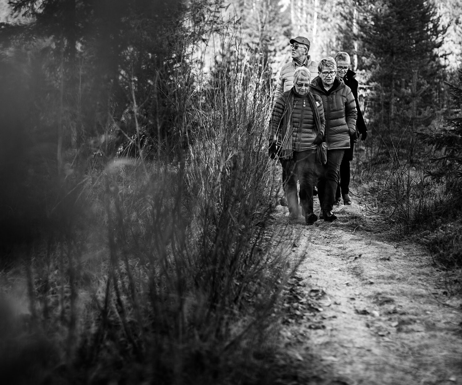 Seniorkurs, Solviks Folkhögskola