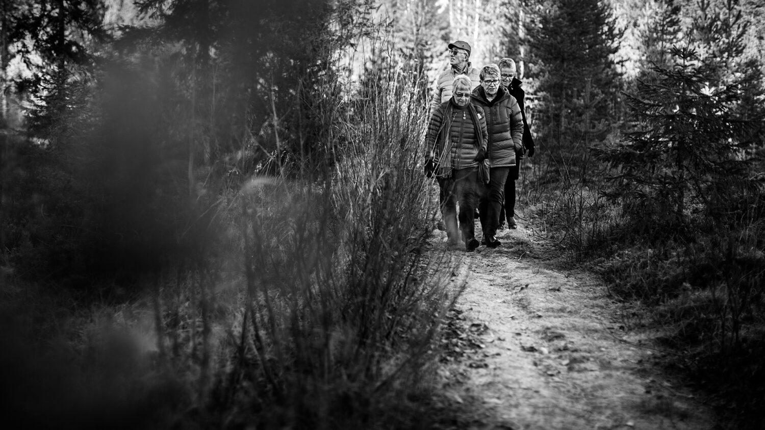 Seniorkurs, Solviks Folkhögskola