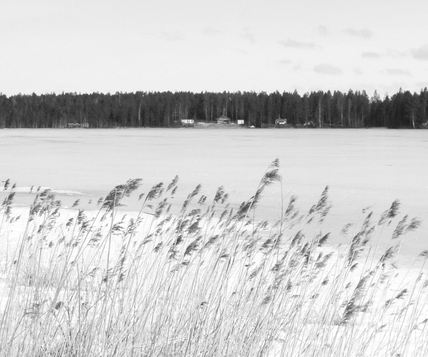 UF-12 Helena L Sjöström
UF-12
UF-12